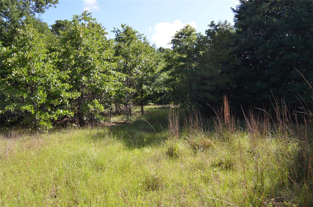 D W Scroggins Surv Abs - Land