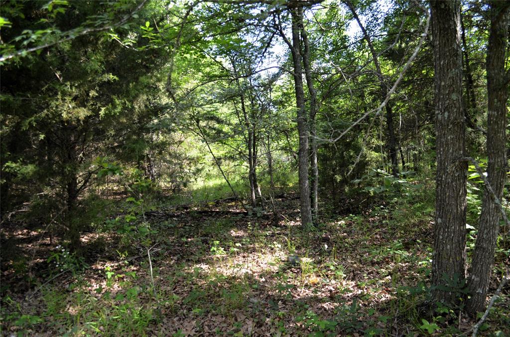 D W Scroggins Surv Abs - Land