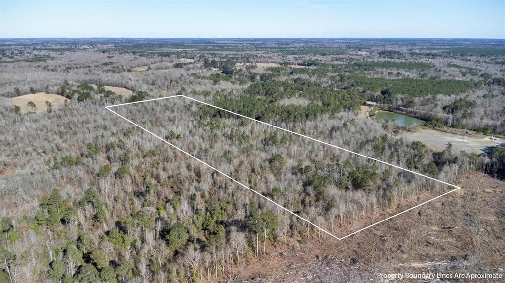 TR5 18.27 Acres County Rd 3071