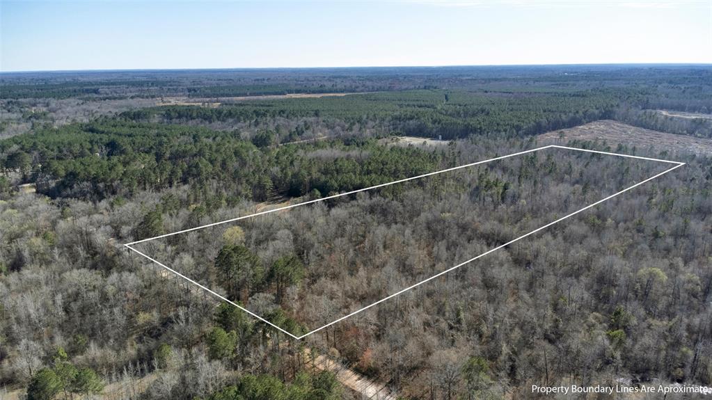 TR5 18.27 Acres County Rd 3071