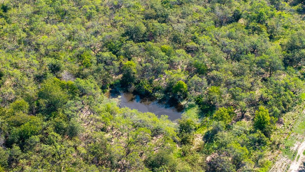 David F Williams - Land