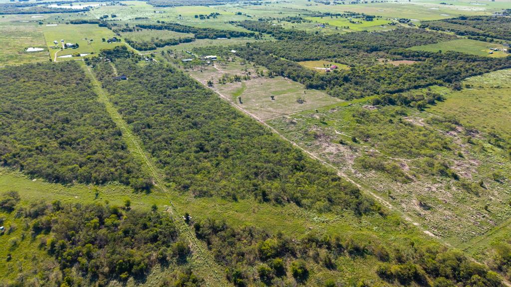 David F Williams - Land