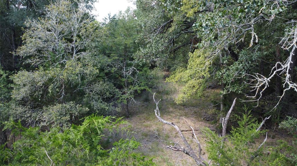 A029W - A Varela-Woodland - Land