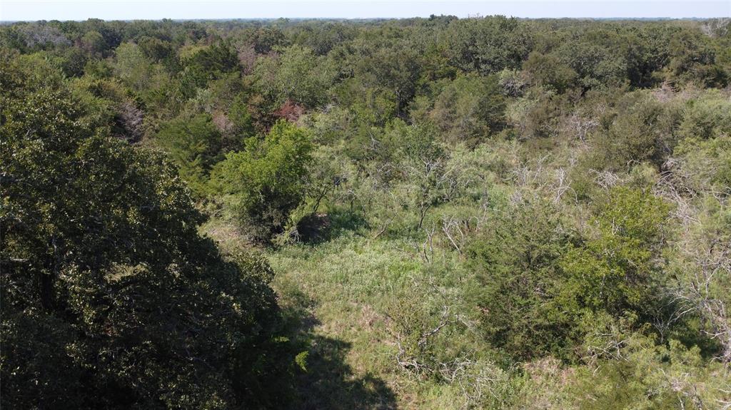 A029W - A Varela-Woodland - Land