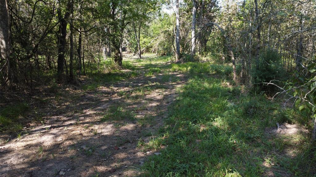 A029W - A Varela-Woodland - Land