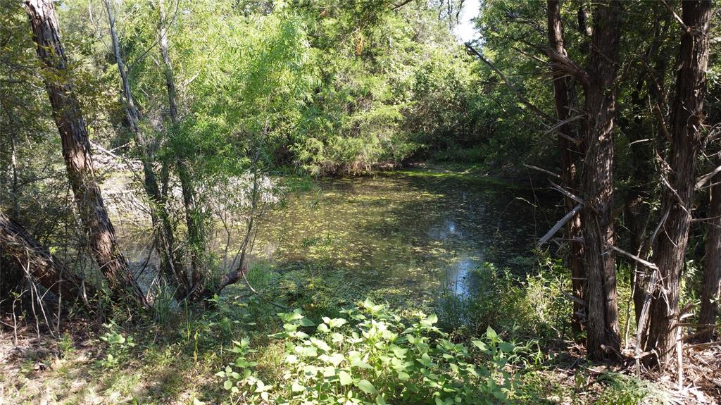 A029W - A Varela-Woodland - Land