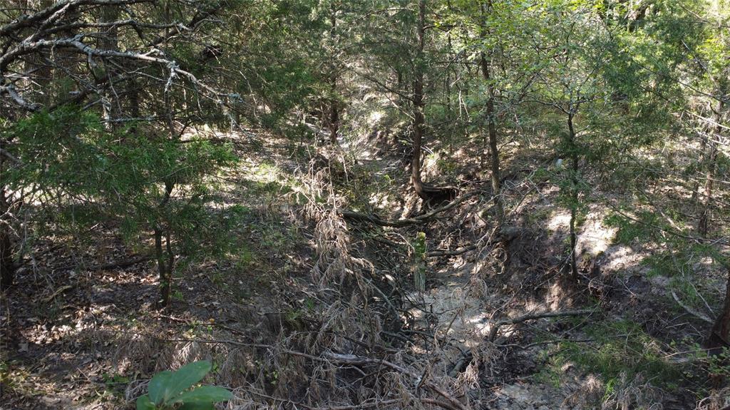 A029W - A Varela-Woodland - Land