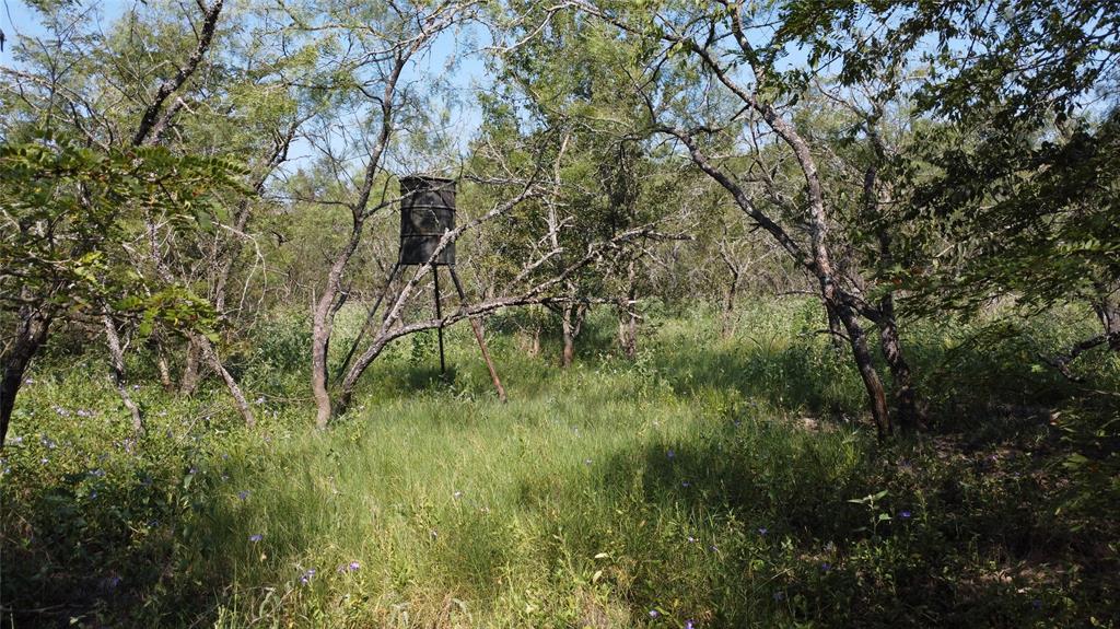 A029W - A Varela-Woodland - Land