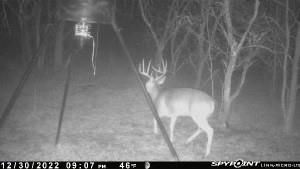 A029W - A Varela-Woodland - Land