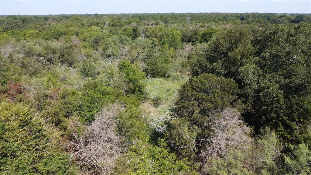 A029W - A Varela-Woodland - Land