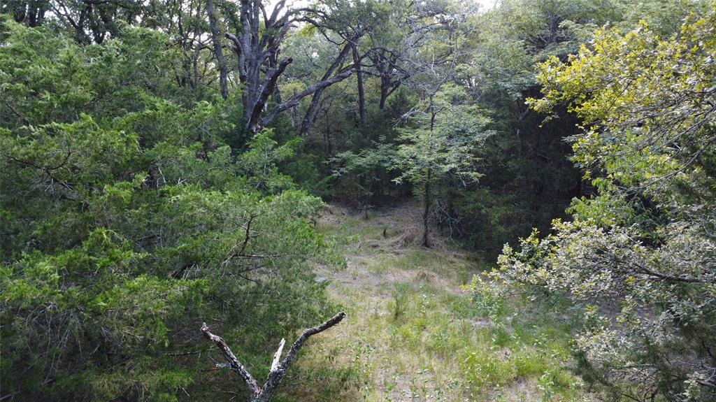 A029W - A Varela-Woodland - Land