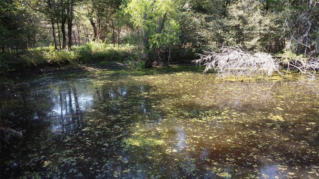 A029W - A Varela-Woodland - Land