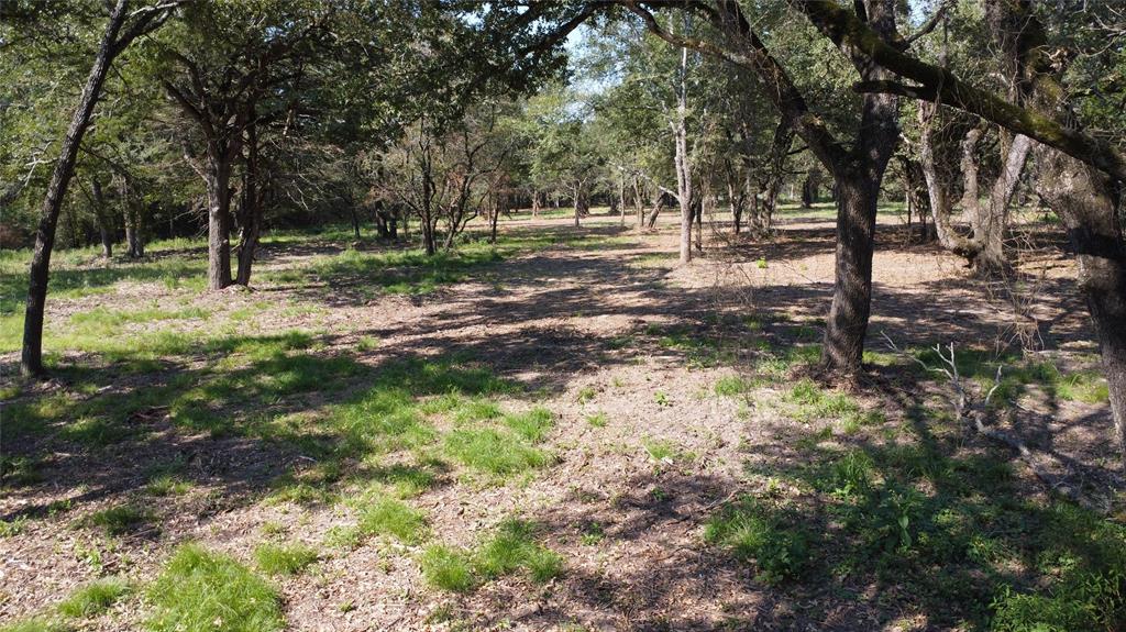 A029W - A Varela-Woodland - Land