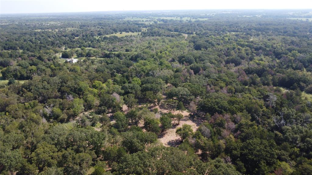 A029W - A Varela-Woodland - Land