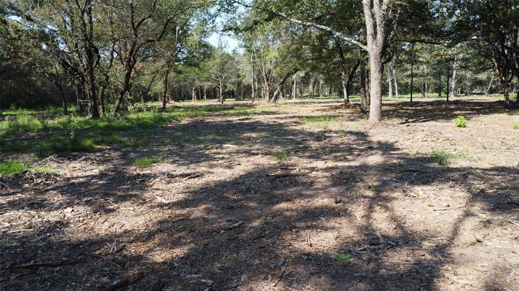 A029W - A Varela-Woodland - Land