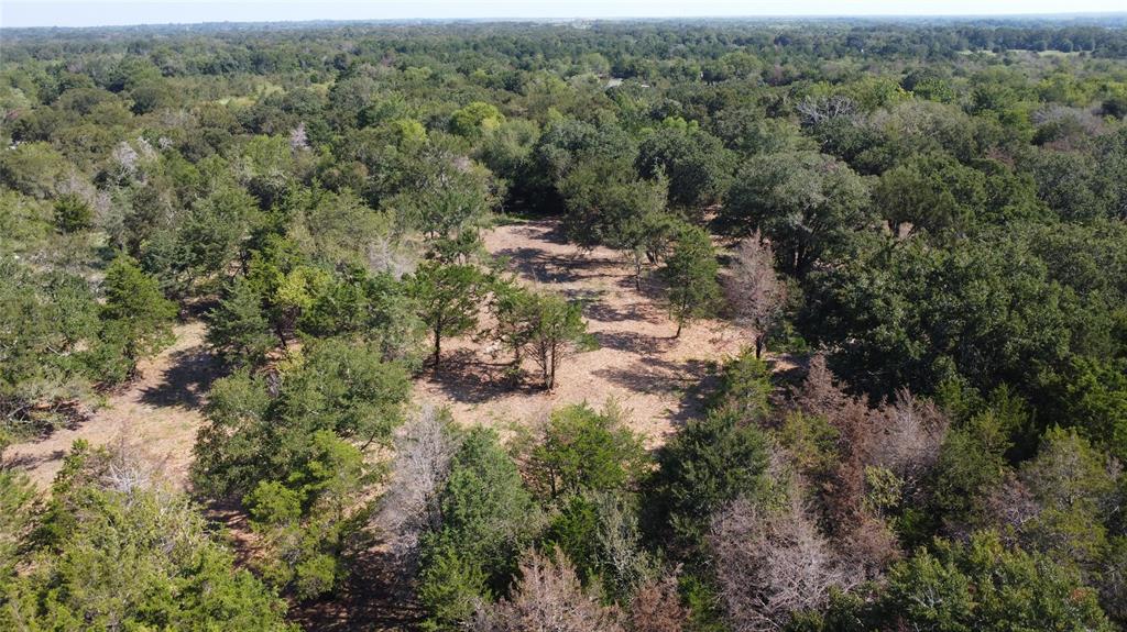 A029W - A Varela-Woodland - Land