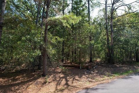 Photo of 18 Angelina St ST, Mount Vernon, TX 75457 (MLS # 21306034)