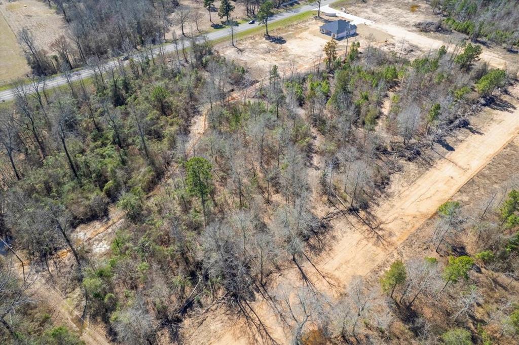 Piney Woods Estates - Land