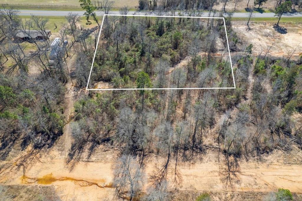 Piney Woods Estates - Land