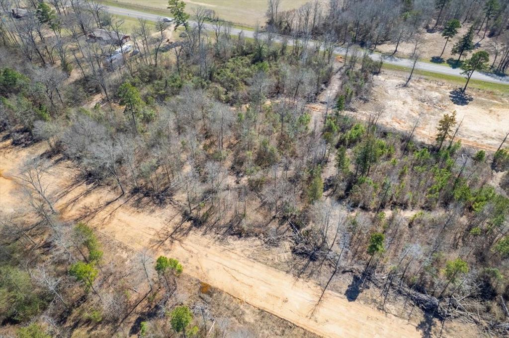 Piney Woods Estates - Land