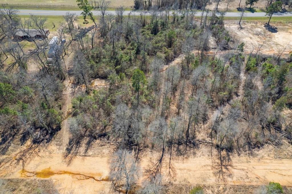 Piney Woods Estates - Land