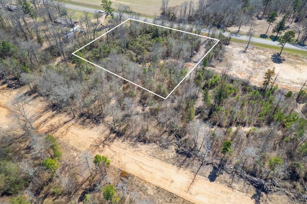 Piney Woods Estates - Land