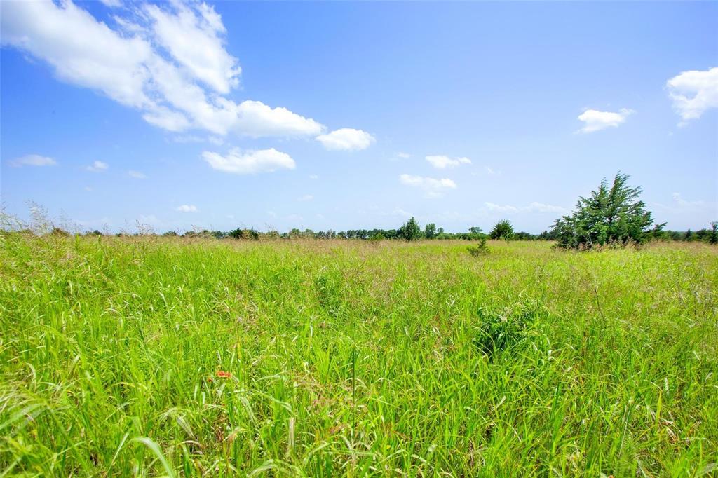 G-0206 CLARK ALFRED A-G0206, ACRES 17.71 - Residential