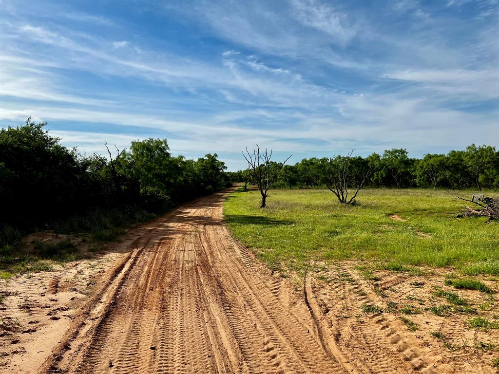 3599 County Road 413