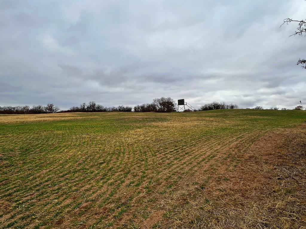 3599 County Road 413