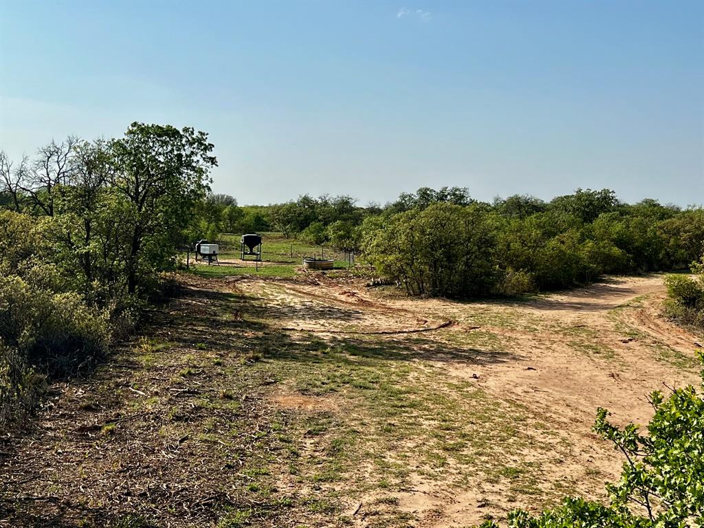 3599 County Road 413