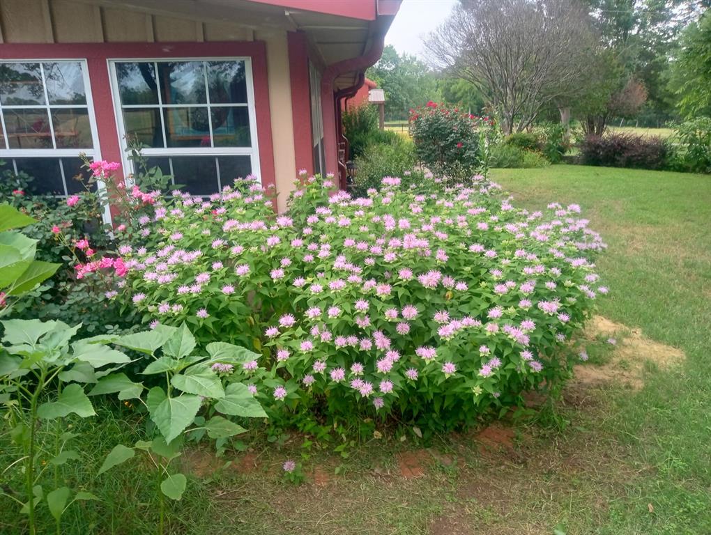 ABS:754 TR:9 SUR:PARSONS HUGH - Farm