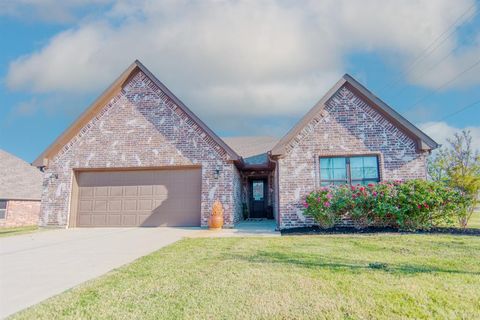 Photo of 100 Prarie Grass Drive, Whitesboro, TX 76273 (MLS # 21222923)