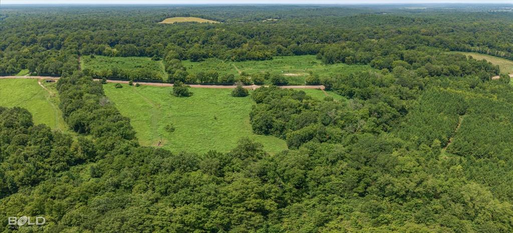 Belcher, Louisiana 71004, United States, ,Land,Active,186809