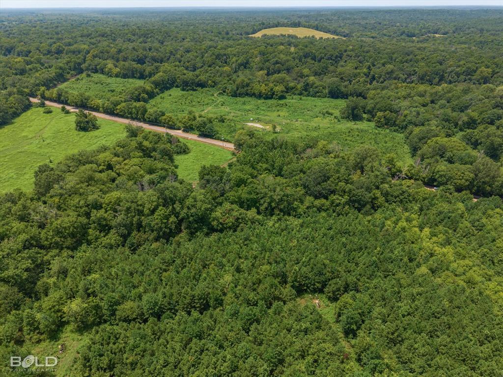 Belcher, Louisiana 71004, United States, ,Land,Active,186809