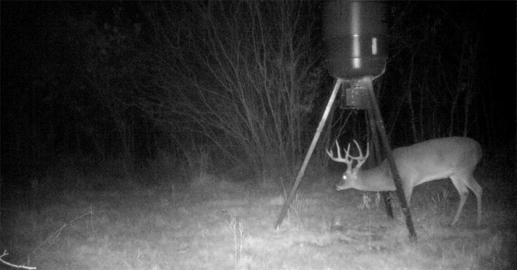 A0649 MORRIS MARY - Residential