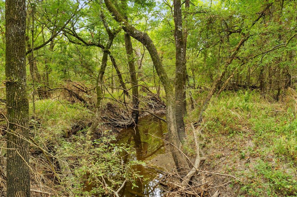 A0649 MORRIS MARY - Residential