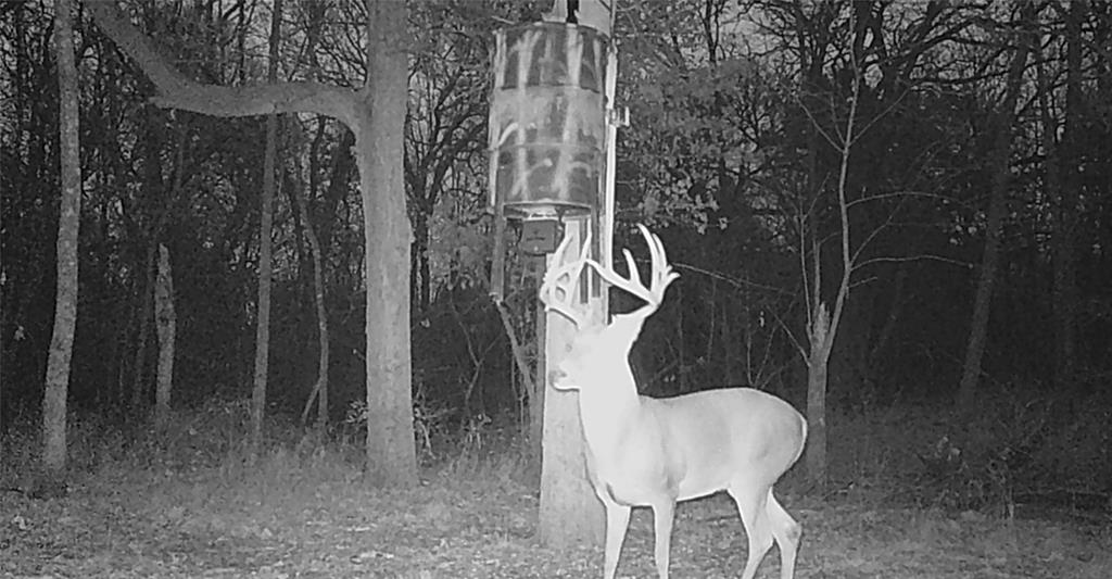 A0649 MORRIS MARY - Residential