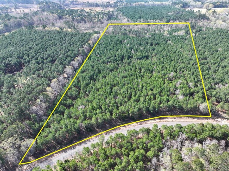 This first time open market offering is situated in the quiet village of Rodessa, Caddo Parish, Louisiana. Historically managed timber tracts currently planted in varying ages of pre-merchantable pine plantations (2014-2016). Attractive size and shaped tracts offer high recreational residential value and privacy. Tracts vary in size from 8 to 81 acres. Easily accessed from low traffic blacktop roads. Good topography and drainage. Located close to the borders of Texas, Louisiana and Arkansas. Electricity available along United Gas Road 1 and Rodessa State Line Road (LA 168 CR 4561).