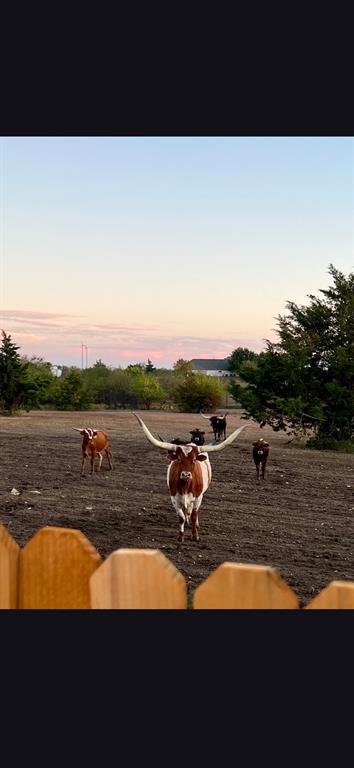 Northpointe Ph 5 - Residential