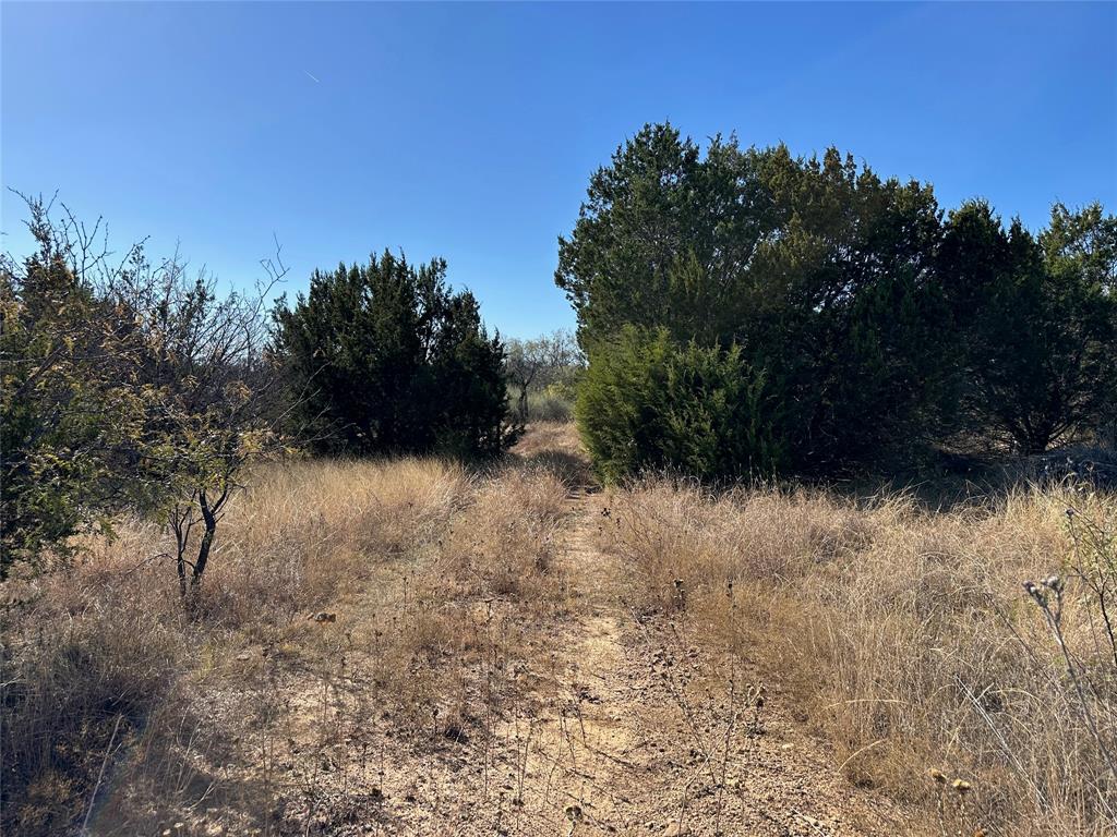 BEATY SEALE & FORWOOD - Land