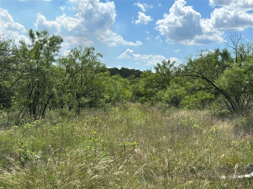 BEATY SEALE & FORWOOD - Land