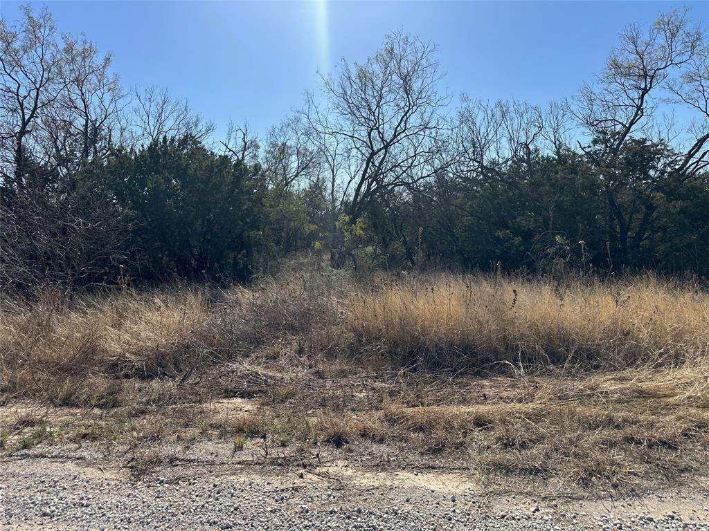 BEATY SEALE & FORWOOD - Land