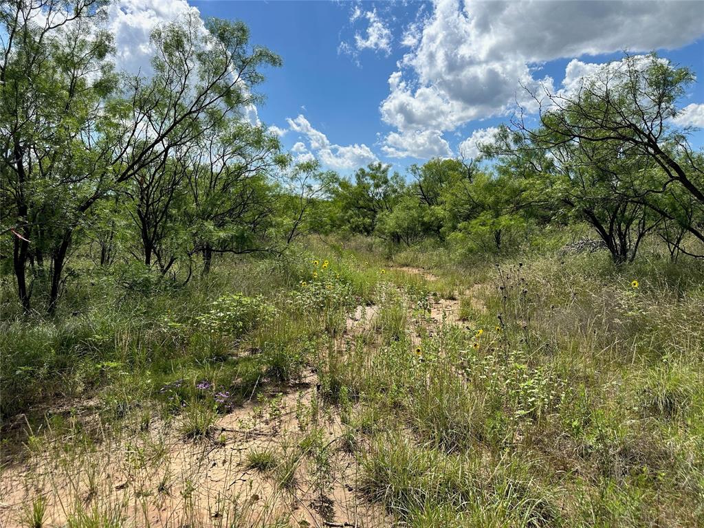 BEATY SEALE & FORWOOD - Land