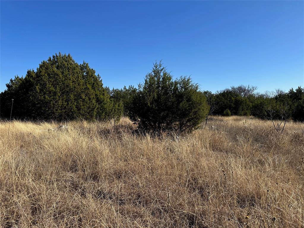 BEATY SEALE & FORWOOD - Land