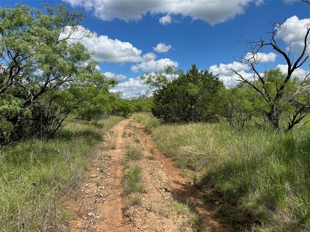 BEATY SEALE & FORWOOD - Land