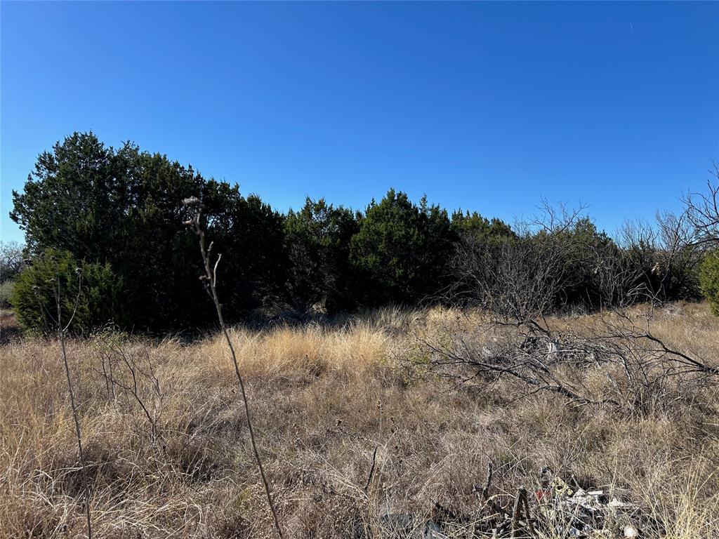 BEATY SEALE & FORWOOD - Land