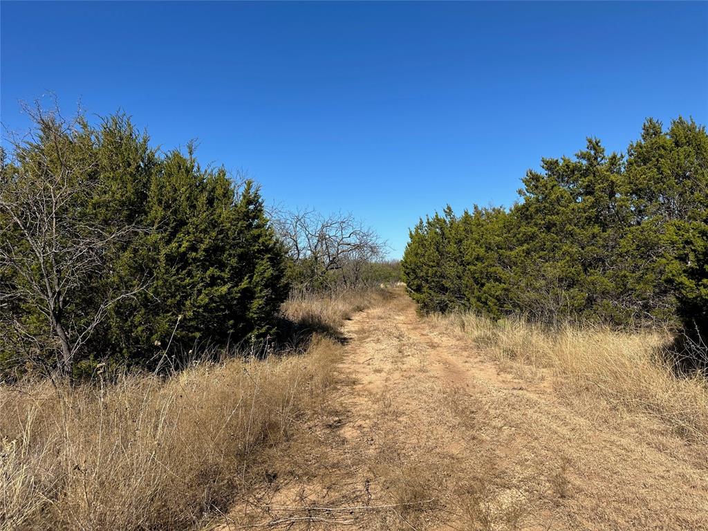 BEATY SEALE & FORWOOD - Land