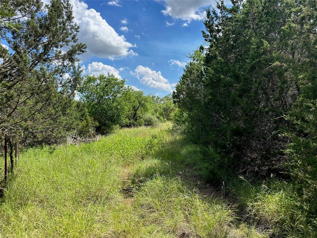 BEATY SEALE & FORWOOD - Land