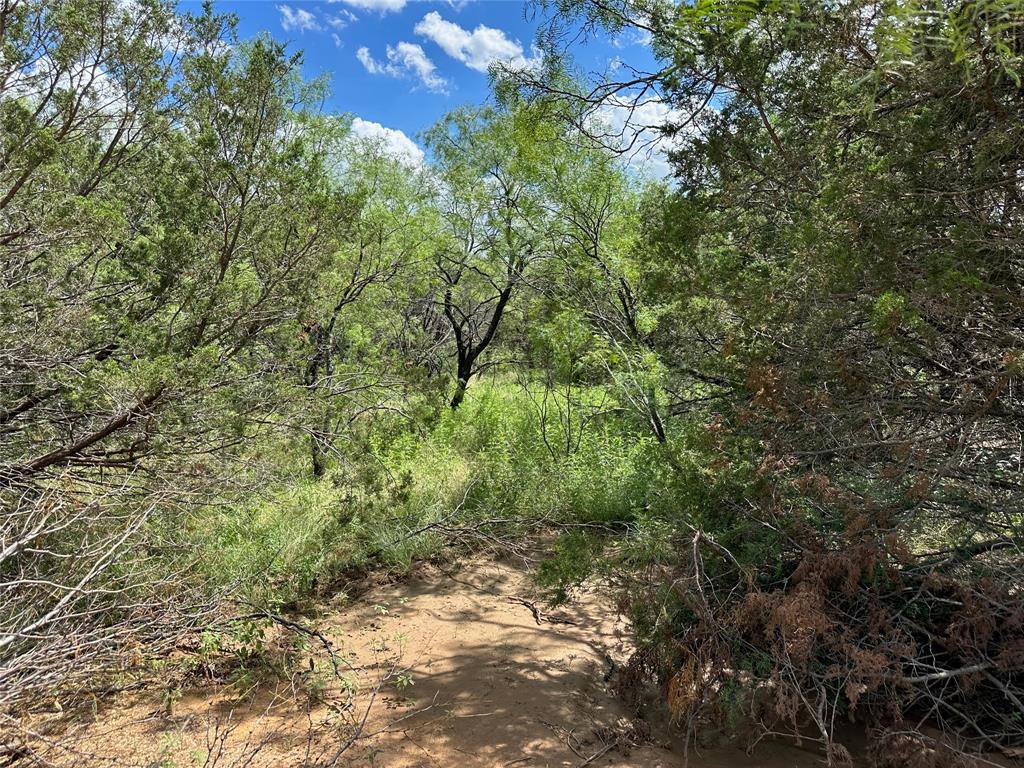 BEATY SEALE & FORWOOD - Land