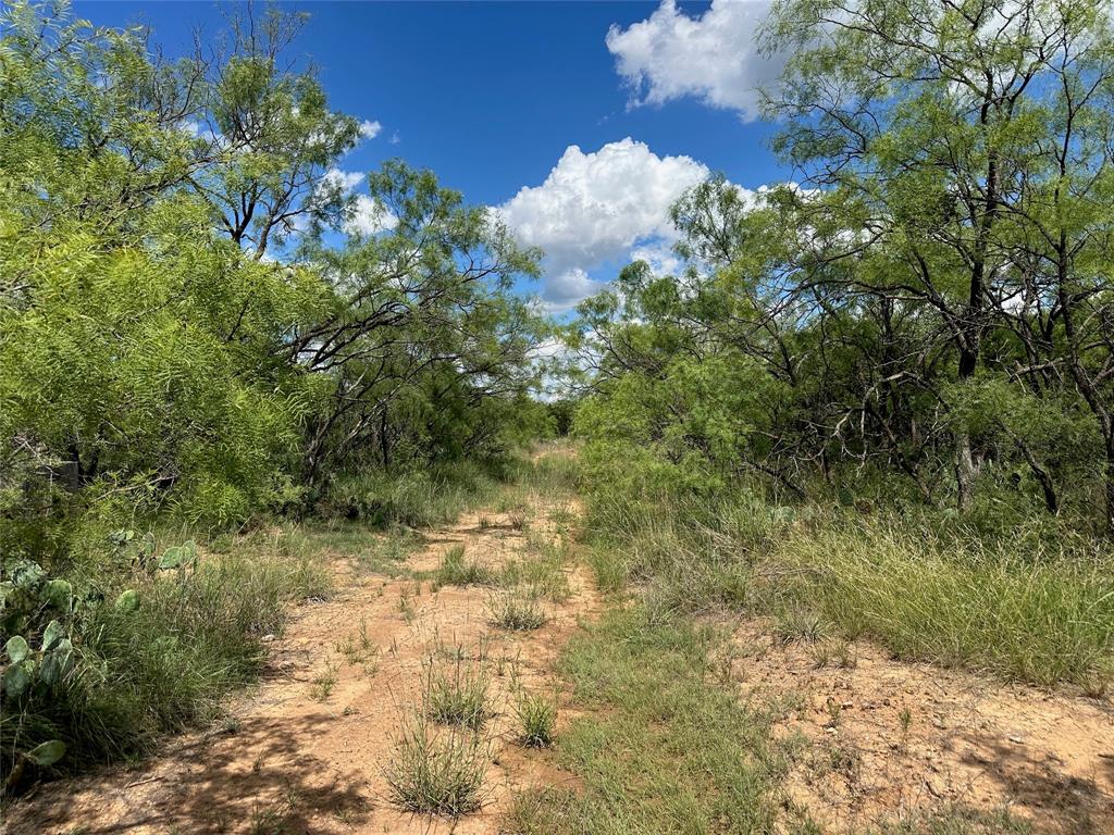 BEATY SEALE & FORWOOD - Land